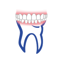 <a href='درمانهای-دندانپزشکی-تخصصی/بازسازی-کامل-دهان' target='_self'>بازسازی کامل دهان</a>